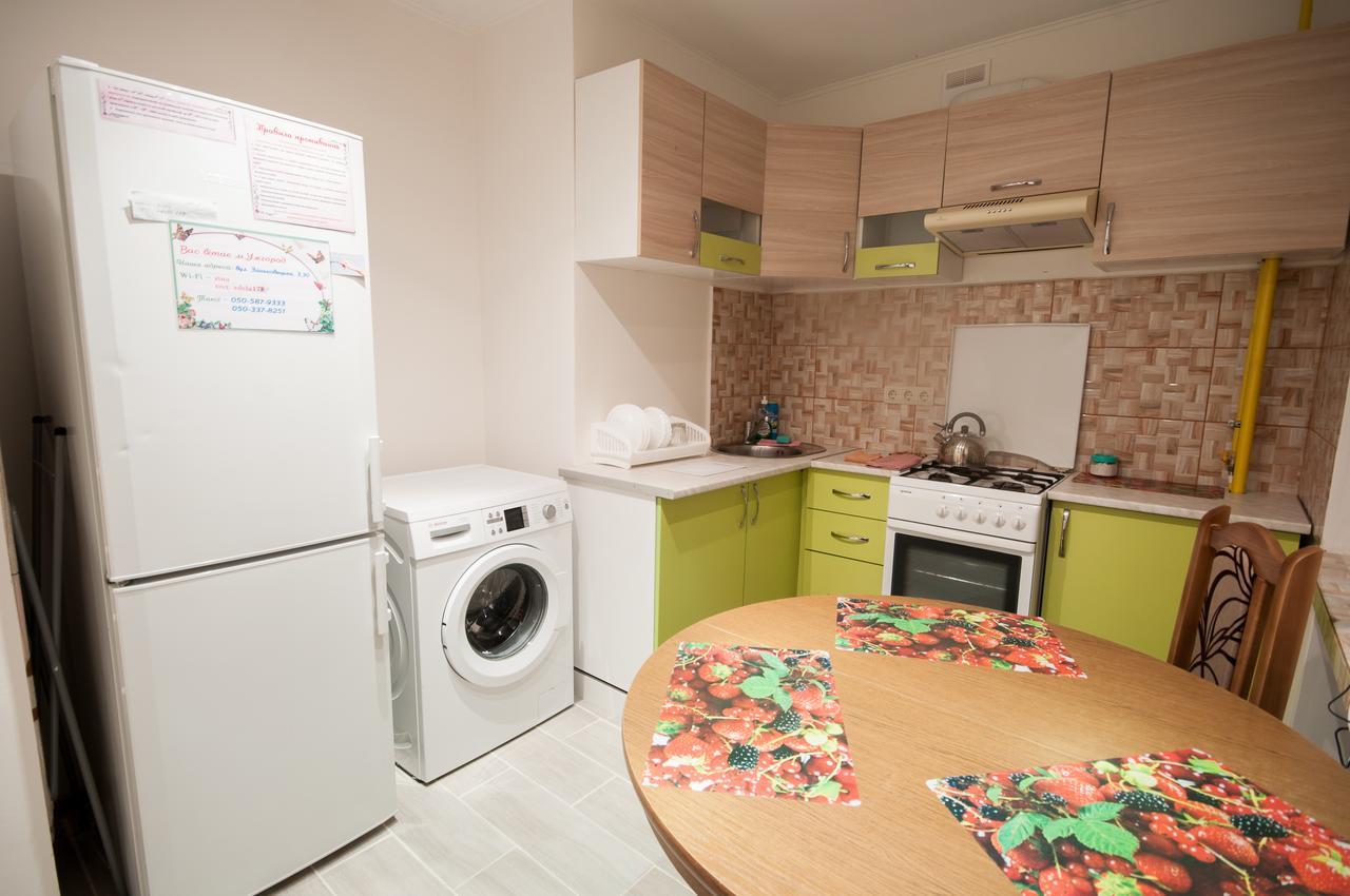 Zankovecka 3 Apartment Ужгород Екстериор снимка
